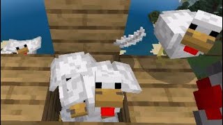 Minecraft chicken glitch