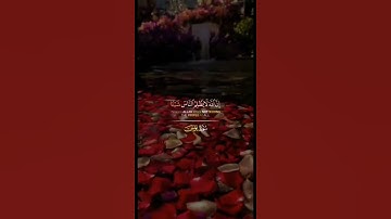 تلاوه القران الكريم سوره يونس ♥️