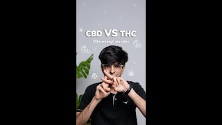What's the difference between CBD and THC | Decoding Cannabis | BOHECO India