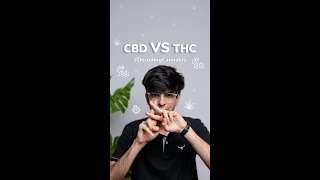 What's the difference between CBD and THC? | Decoding Cannabis | BOHECO India