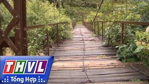 THVL | Người đưa tin 24G: Cầu treo xuống cấp ở Cao Bằng - nguy hiểm rình rập mùa mưa lũ