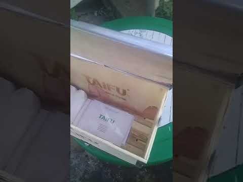 Фекальный насос Taifu