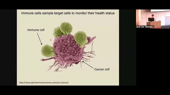 Targeting the Cancer Glycocalyx