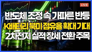 반도체 조정 속 2차전지주 급등! 29% 폭등한 진짜 이유는?