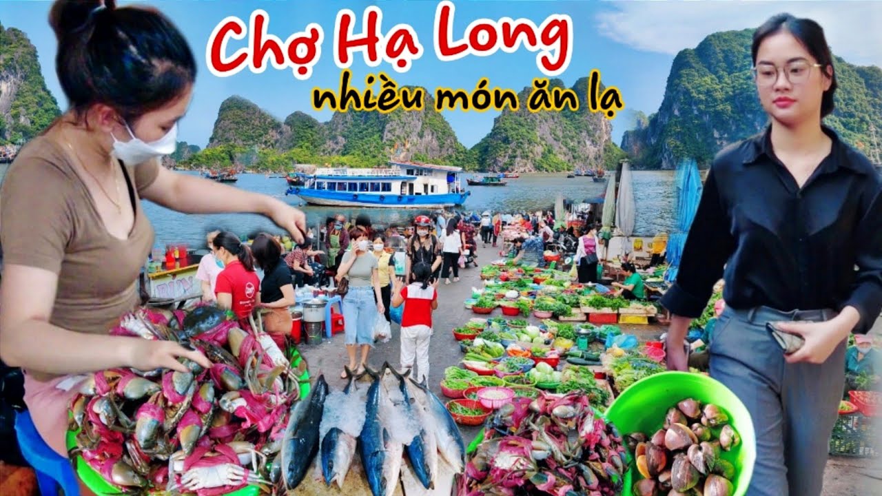 Qu p Qu Vui Ch H Long Qung Ninh Nhiu Mn n L