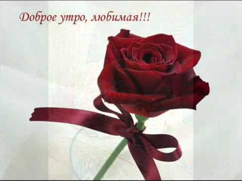 Смотреть любимая с добрым утром картинка любимая с добрым утром картинка