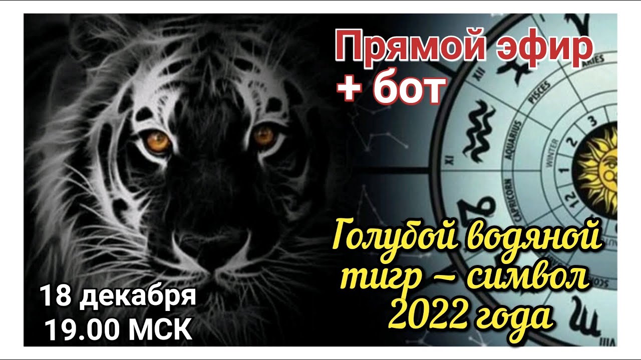 Гороскоп тигр апрель 2024