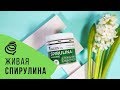 Живая Спирулина (Spirulina). Разбираем: технология производства, результаты, польза, состав