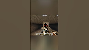 Minecraft entity 303 moment 💀🗿 #alphagaming
