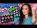 DANESSA MYRICKS LIGHTWORK  V: I AM PALETTE..Worth $125 though???