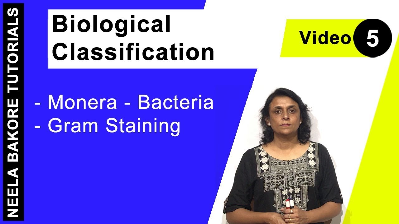 Biological Classification | NEET | Monera - Bacteria - Gram Staining |  Neela Bakore Tutorials