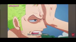 kaku meet zoro second time