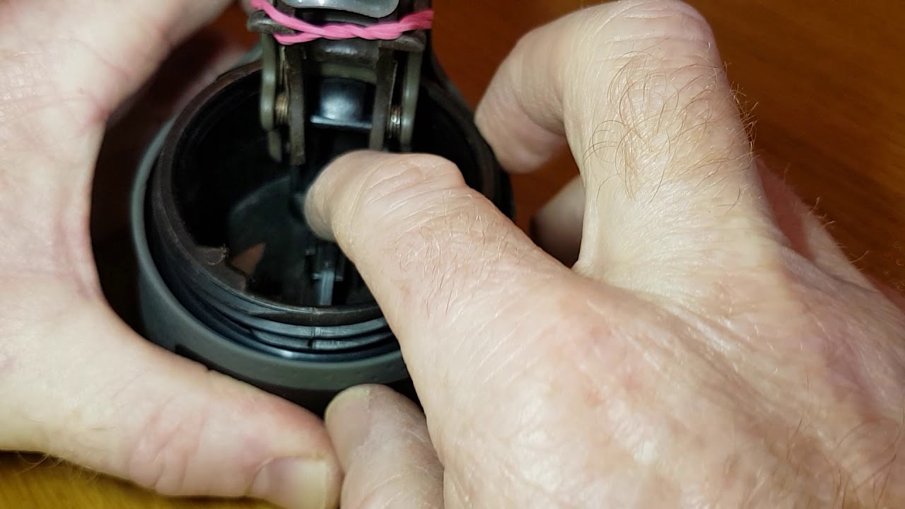 CONTIGO Autoseal lid cleaning (disassembly) 