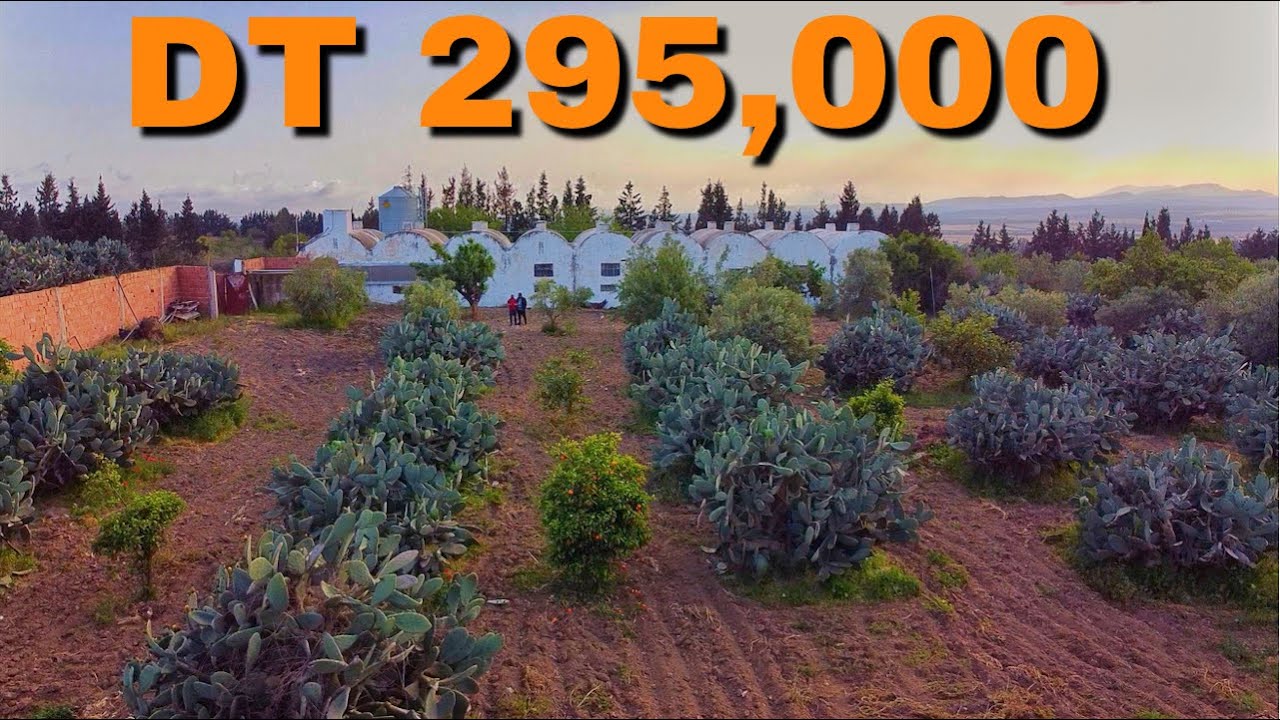 مزرعة جميلة مع اسطبل و منزل صغير قرب مدينة الحمامات