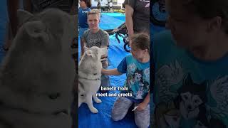 How Celebrity Pets Make Millions Each Year