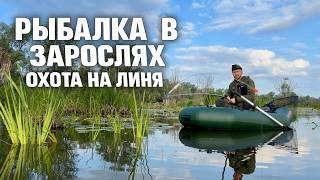 Охота на линя среди кувшинок | Боковой кивок