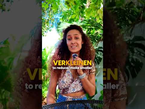 🇳🇱 10 Dutch verbs you already know