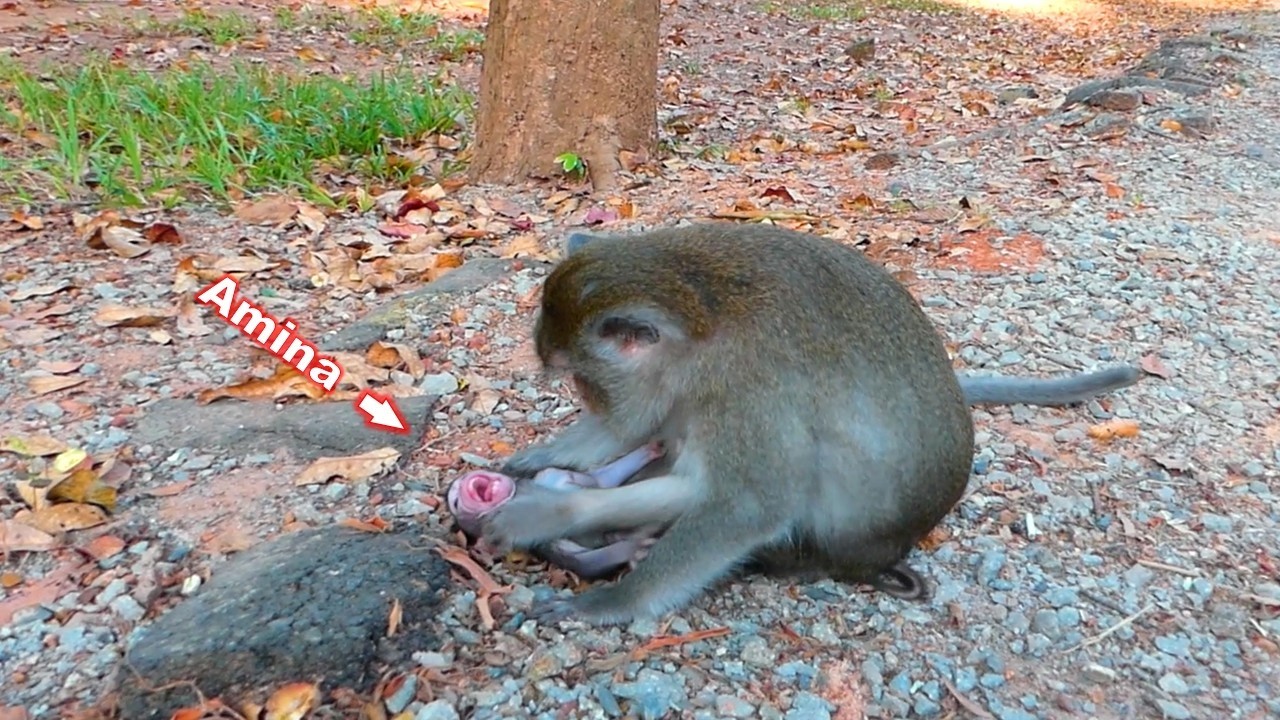 She is fulfilling her role as a mother to set a feeding schedule