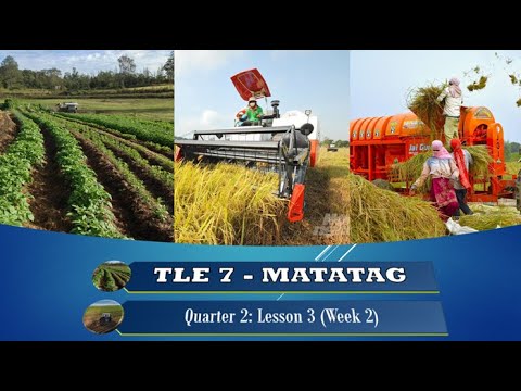 TLE 7 -