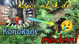 Download Lagu Taruhane Ny0w0‼️ Lewat Jembatan Gantung Sebrang Sungai.  MP3