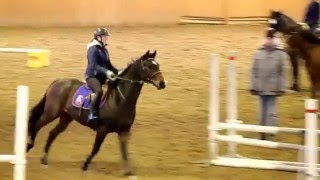 Kanel Hoppträning För Arnold Assarsson 24012016