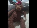 música do YouTube caquinho