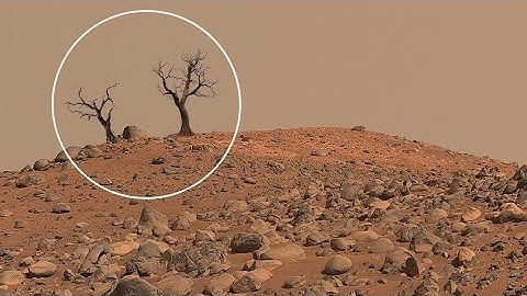 Mars Like Never Before! NASA Perseverance Sends Breathtaking 4K Sol 1229 Video