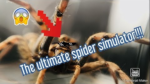 Ultimate spider simulator 2 (gameplay)