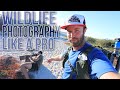 Wildlife Photography Composition Tips from the Galapagos