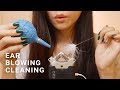 ASMR Ear Cleaning and Blowing (No Talking)