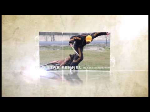 puppy paradise The First 2 1/2 Minutes of our New Decoy DVD with Mark Keating