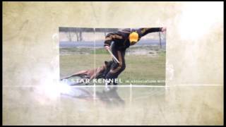 The First 2 1/2 Minutes of our New Decoy DVD with Mark Keating