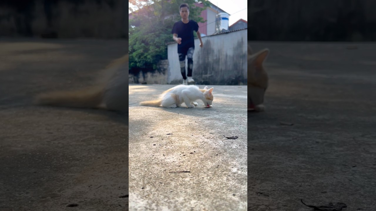 Luckily the kitten is okay 🙏🐈😻 