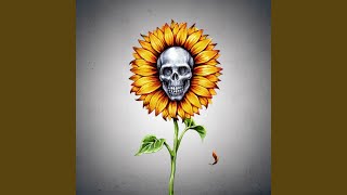 Black Sunflower