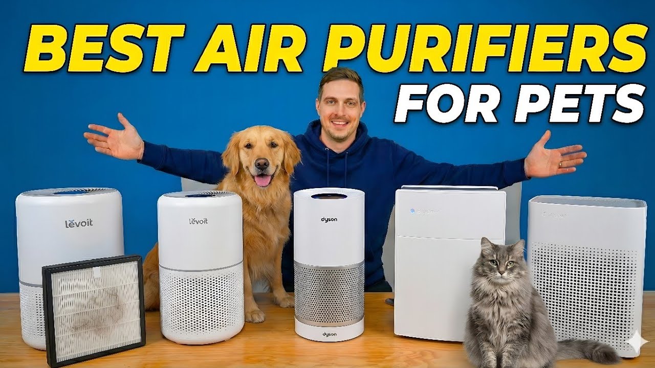 Best Air Purifiers For Pets in 2026 Top Picks in Each Budget 🏆 - YouTube