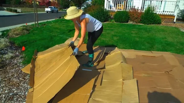 Convert Your Lawn by Sheet Mulching