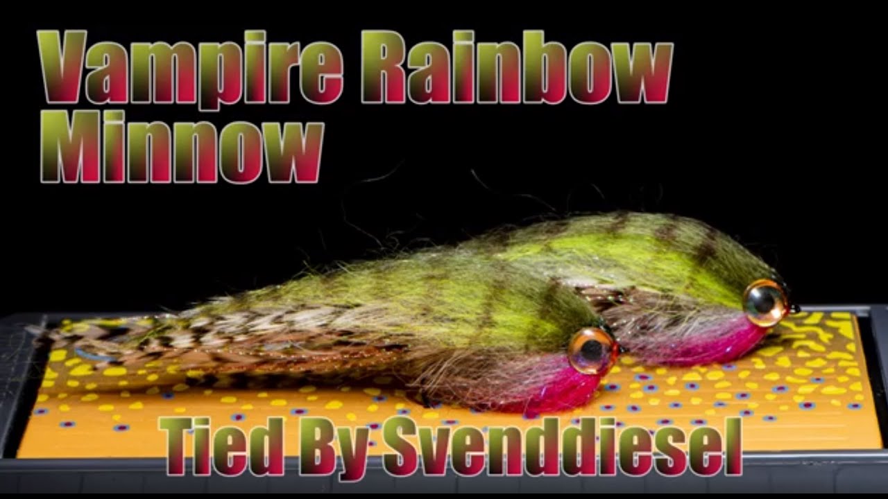 pattern armonici The Vampire Rainbow Minnow Fly Pattern Tutorial