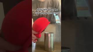 Jeffy left the greenbean… #fypシ #jeffy #plushies #funny #memes #plush #greenbeans #hilarious