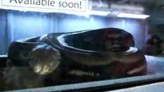 Famous Female Tiger Reticulated Python Eating Wealth