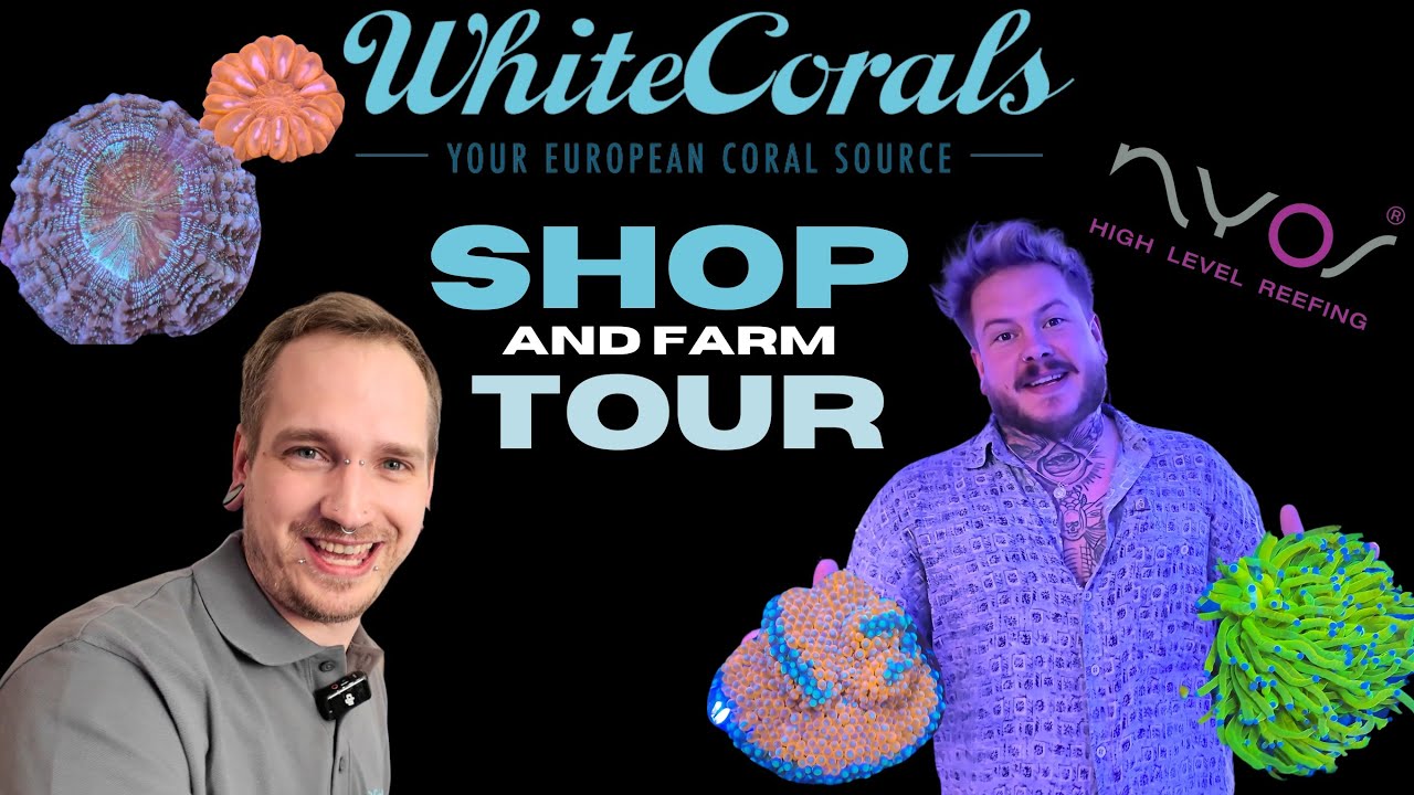 Exploring Saltwater Aquarium MEGA Store | White Corals Shop & Farm Tour | Germany 2024