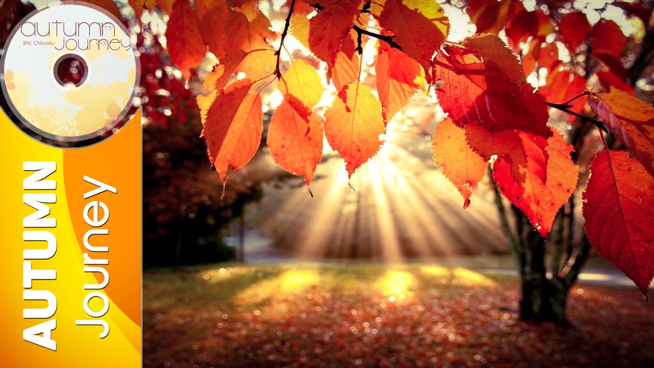 Eric Chiryoku - Reflection || Autumn Journey auf YouTube ansehen Eric Chiryoku - Reflection || Autumn Journey auf YouTube ansehen