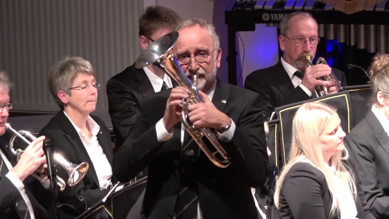 Fordi eg elskar deg  (Make you feel my love) (Bob Dylan/Geir Ulseth)