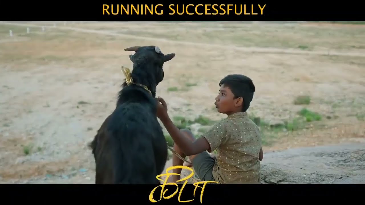 Thought-provoking village drama with feel-good elements. 