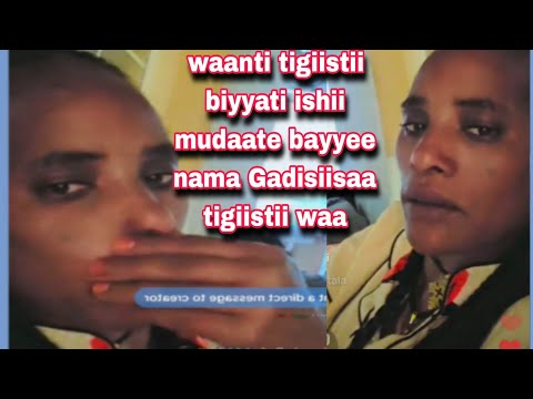 Tigiistii Ulfaa Batee Dubai Ttii Debiitee Mudaano Biyyati Ishii Mudate Yeroo Dubaatu