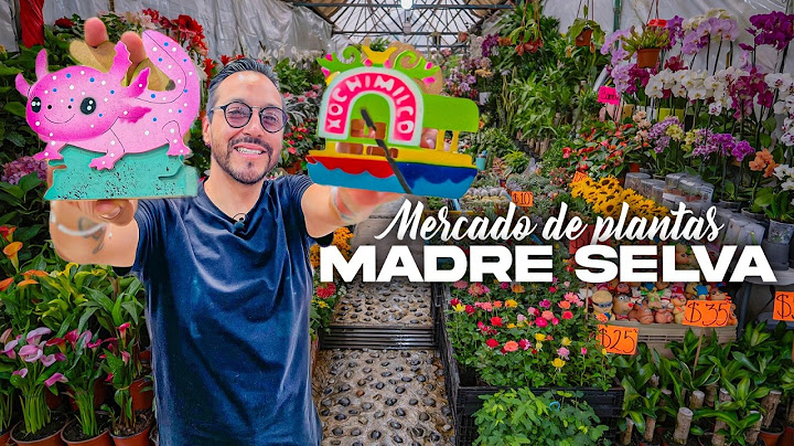 The largest MARKET for PLANTS and FLOWERS