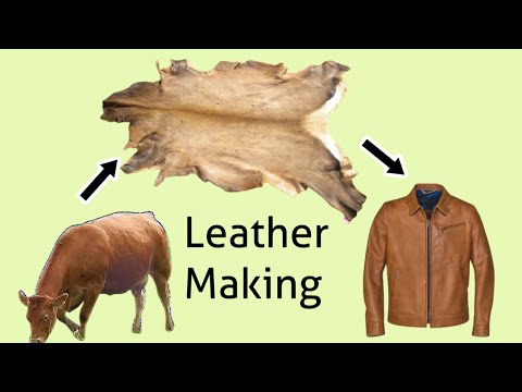 How Hides Are Converted into Leather? || Leather Making Process