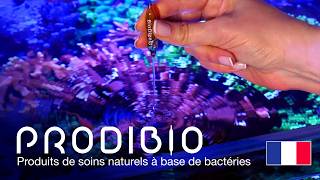 Prodibio - Solutions naturelles et à base de bactéries pour aquariums