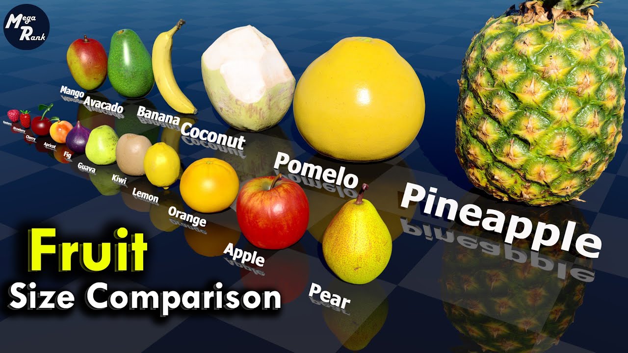 Berry Size Chart Fruit Size Comparison - YouTube
