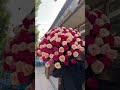#funny #flowers #shortvideo