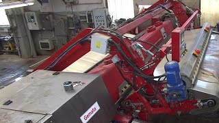 Gemata - Starsplit splitting line with automatic feeding  system